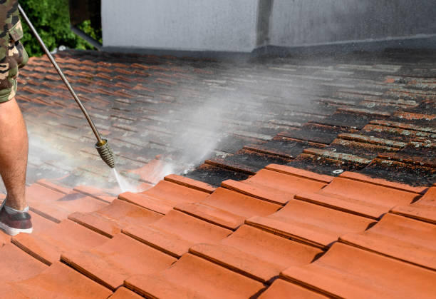 Best Affordable Power Washing  in Kalifornsky, AK