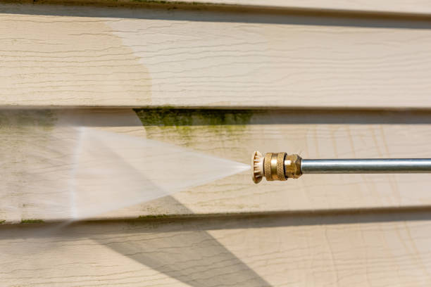 Best Pressure Washing Near Me  in Kalifornsky, AK